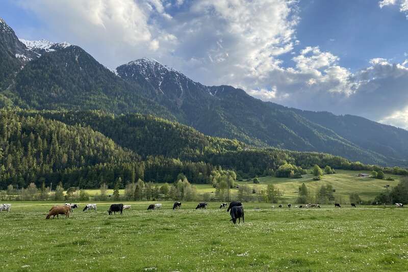Oetz Ötztal Urlaub Appartement Biobauernhof