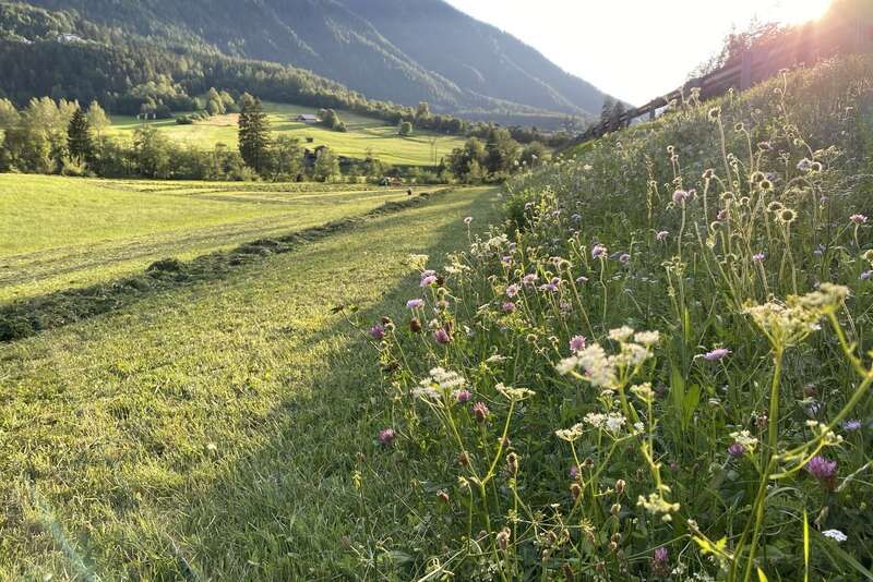 Oetz Oetztal Ötz Urlaub Biobauernhof