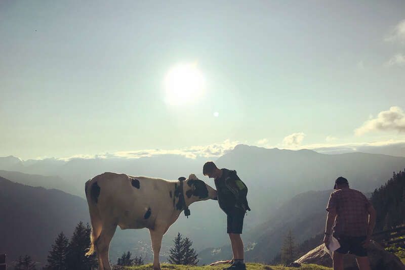 Oetz Oetztal Urlaub Alm